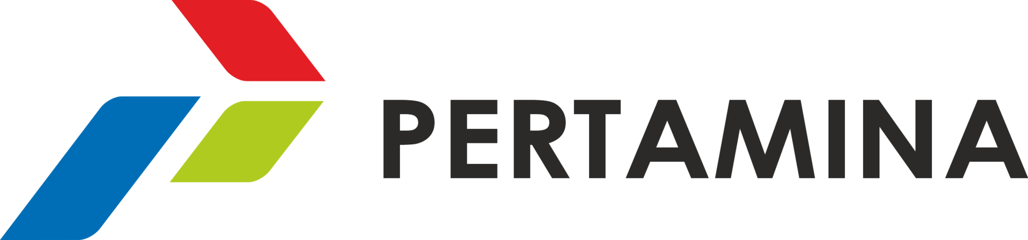Partner Logo